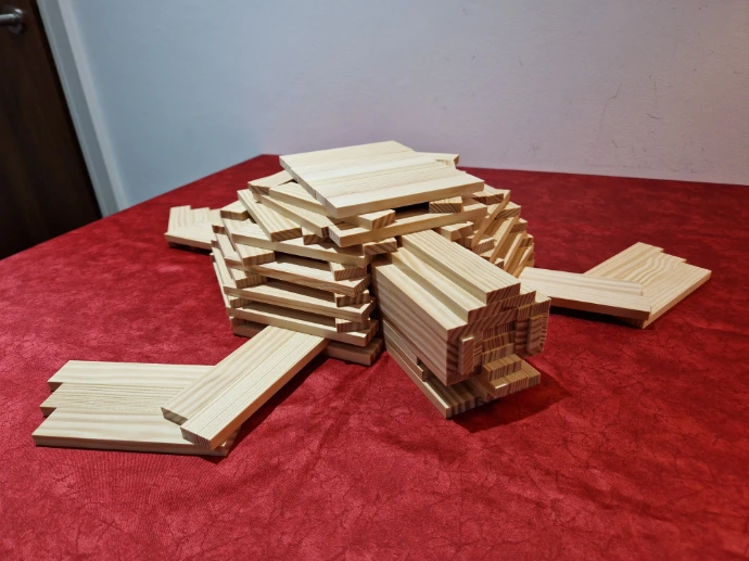 Turtle-kapla-planks-model