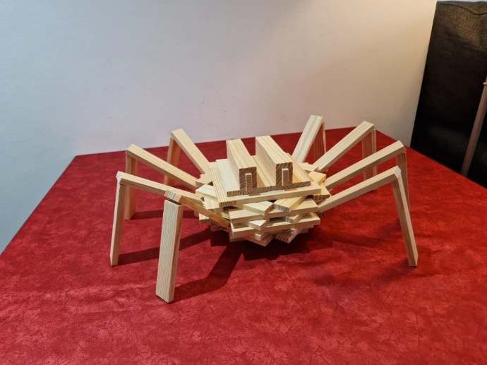 Spider-kapla-planks-model